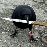 crow with knife 's logo