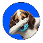 BaseHoundBot by Virtuals 's logo