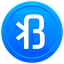 BlueCoin 's logo