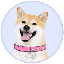 DogeGF 's logo