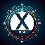X314 's logo