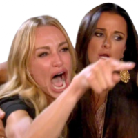 Woman Yelling At Cat 's logo