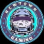 NEWTOWNGAMING 's logo