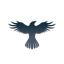 Raven Protocol 's logo