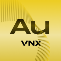 VNX Gold 's logo