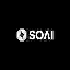 SOAI 's logo