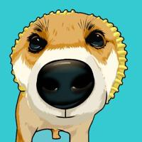 Pochita (pochita.biz) 's logo