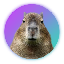 Capybara 's logo