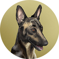 Broccoli (firstbroccoli.com) 's logo