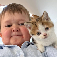 Hasbulla's Cat 's logo