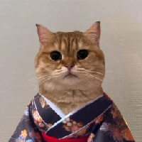 Cat Own Kimono 's logo