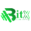 BitX Exchange 's logo