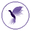 Hummingbird Finance (New) 's logo