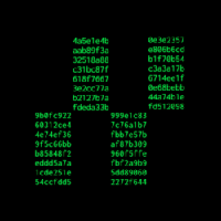 Hiero Terminal 's logo