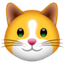KittenFinance 's logo