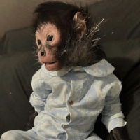 Monkey Taken By Police 's logo