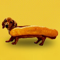 Hot Doge 's logo