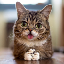 LIL BUB 's logo