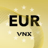 VNX Euro 's logo
