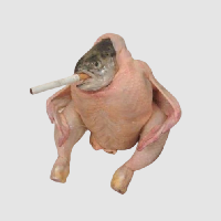 Smoking Chicken Fish 's logo