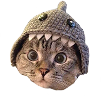 Shark Cat 's logo
