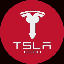 TSLA6900 's logo