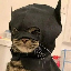 batcat 's logo