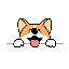 Corgidoge 's logo