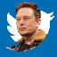 ELON BUYS TWITTER 's logo