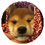 dogwifscarf 's logo