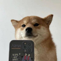 SelfieDogCoin 's logo