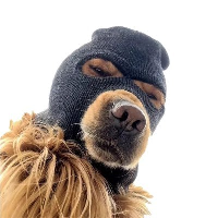 Ski Mask Dog 's logo